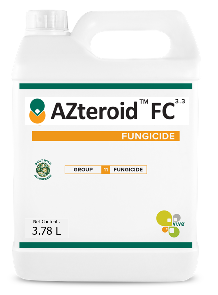 AZteroid (TM) Jug