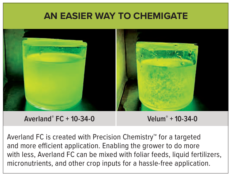 Averland FC Mixing jars