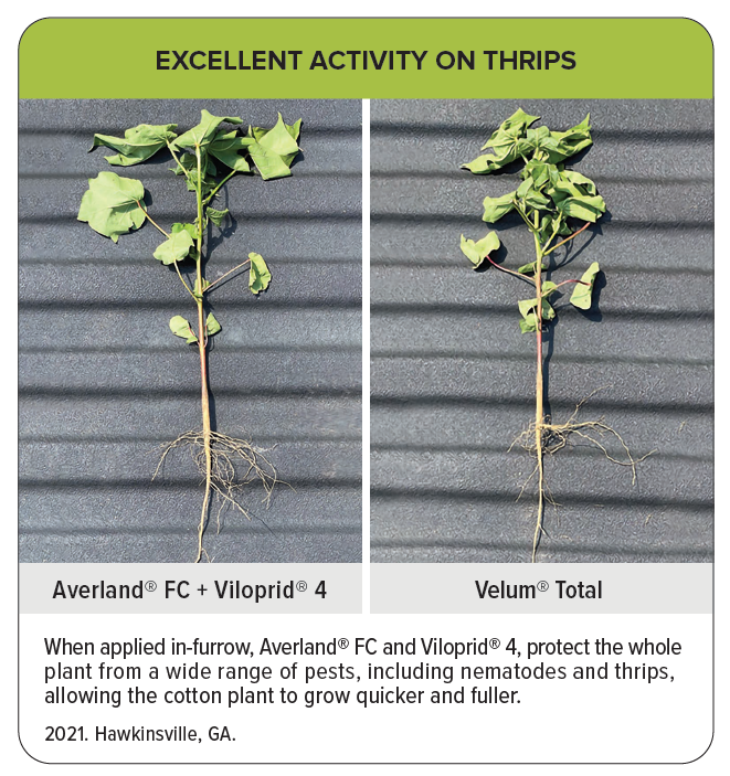 Viloprid 4 and Averland on cotton